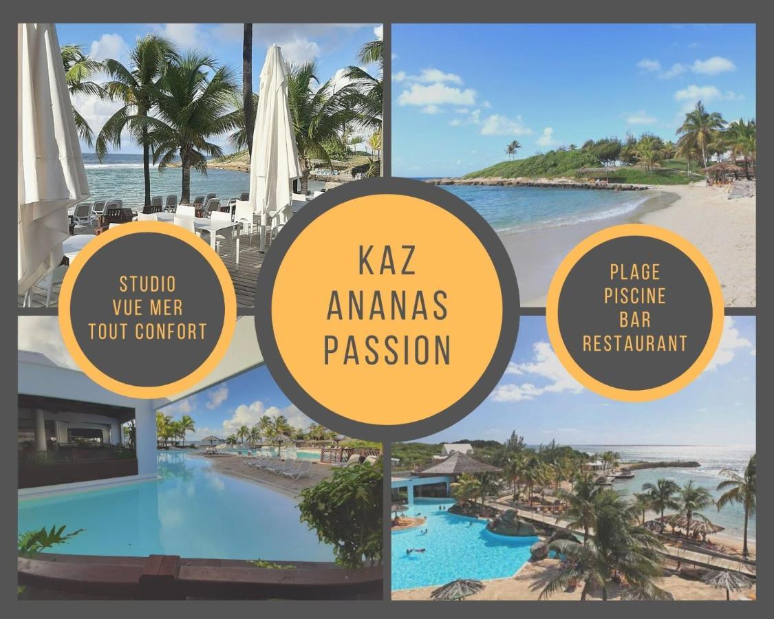 Studio Kaz Ananas Au Manganao Saint-Francois  Kültér fotó